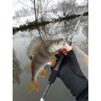 Твистеры съедоб. искусст. LJ Pro Series NAYADA 04.50/PA16 9шт.