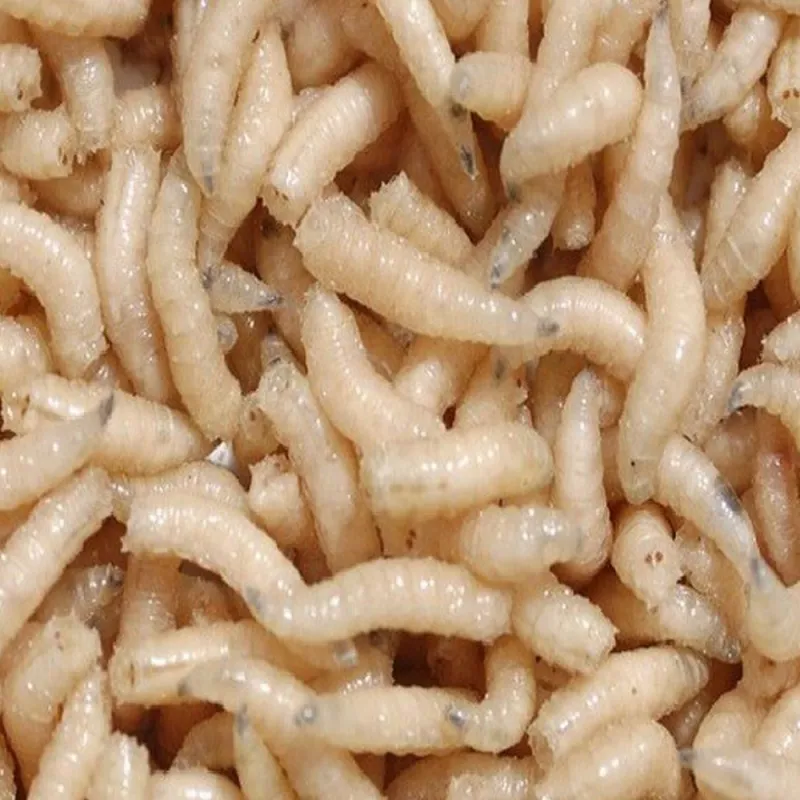 Лучшие цены на наживку, от объёма.