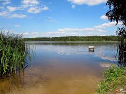 Платные водоёмы Брестской области.