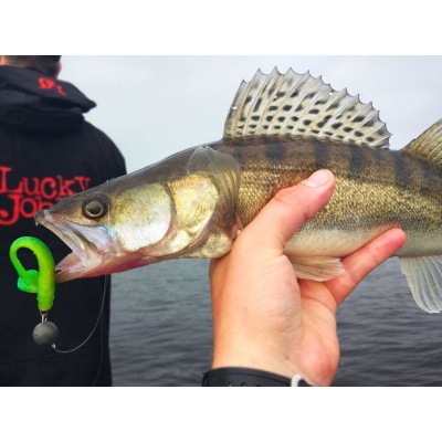 Виброхвосты съедобные искусственные LJ Pro Series MINNOW 05.60/T18 10шт.