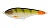 Джеркбейт Strike Pro Buster V 85S, 17,7 гр, 0,2-1,5м, C076F